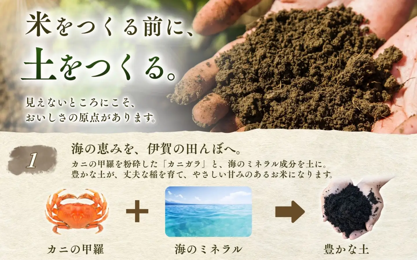 お米 伊賀米コシヒカリ 令和8年産新米 特別栽培米「真米」白米10kg×6回お届け定期便【ymnk-tkb0004】