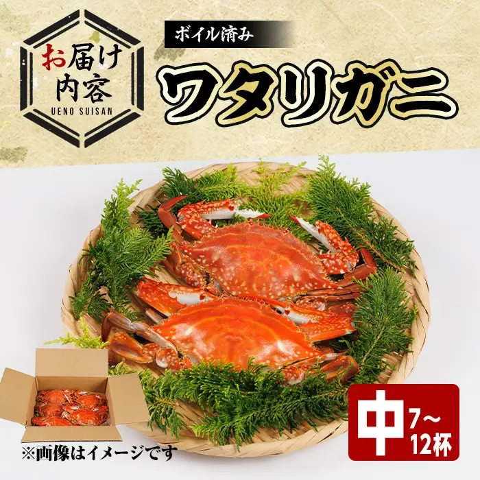 あおがざみ(計650g~700g・中サイズ) ワタリガニ　蟹 ボイル 海鮮 かに 冷凍 【101901900】【上野水産】