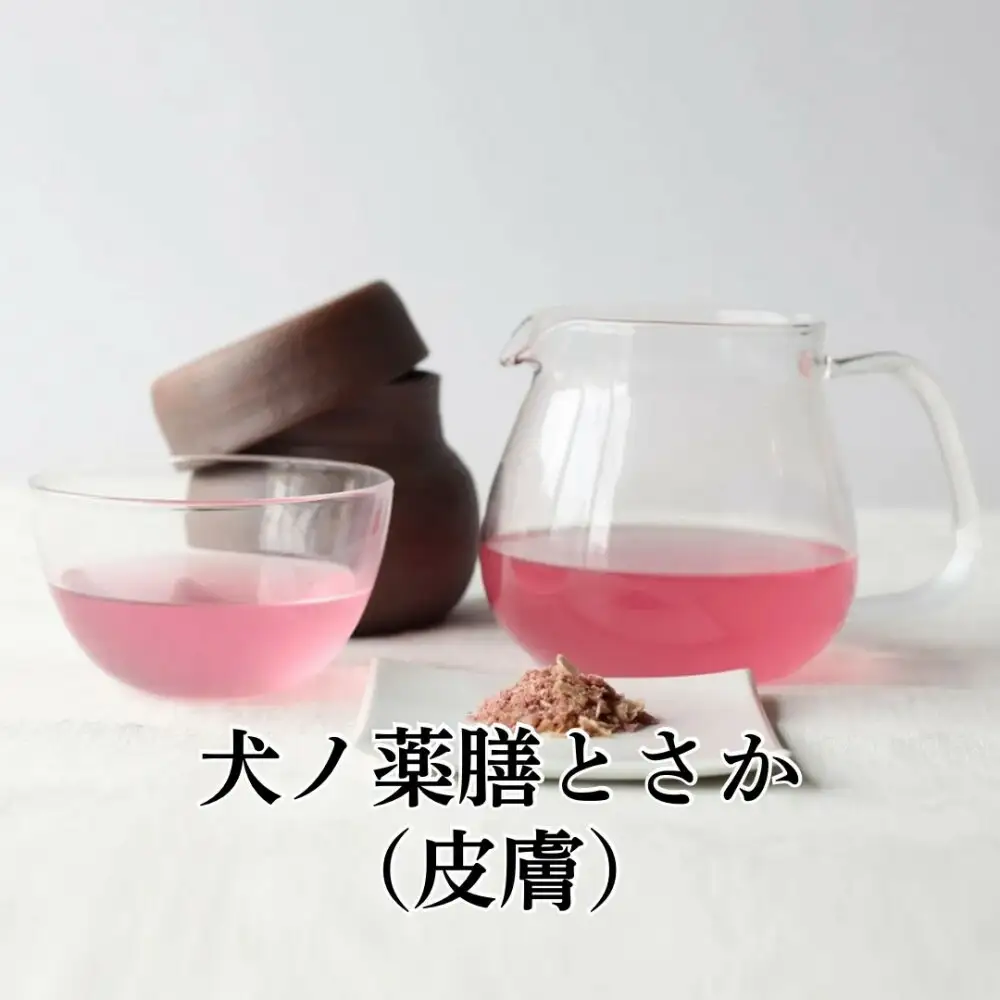 福岡市【無添加 犬のおやつ】皮膚毛艶ケア&美味しく水分補給！シニア犬健やかセット