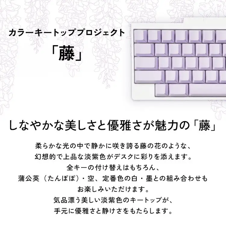 HHKBキートップセット（藤）日本語配列/中央印字 PD-KB420KTLPC 家電 キーボード パソコン PC 静電容量無接点 国産 国内製造 PFU ｜パソコン
