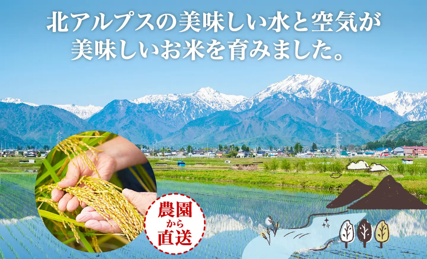 R8年産 平林農園 長野県産 もち米 もちひかり 精米 3kg お米 米 ライス 白米 ご飯 粘り 甘み お餅 餅 おこわ 赤飯 餅つき 炊き立て ホカホカ もちもち ふっくら しっとり 蒸す 炊く つく お正月 お取り寄せ ご当地 長野県 大町市