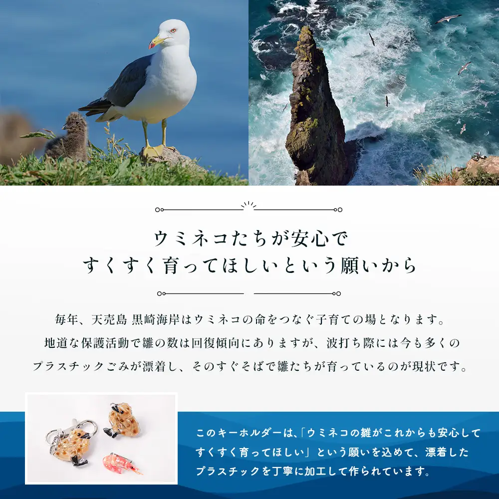天売島の想いを込めた「ウミネコ雛のキーホルダー」【26009】