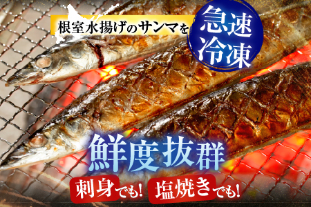 【北海道根室産】タラバガニむき身300g×1P・冷凍さんま5尾×5Pセット C-30080