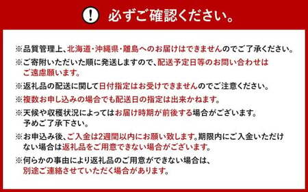 【12ヶ月定期便】 【いちごの年間定期便】 福岡県産あまおう （フレッシュあまおう・冷凍あまおう） いちご イチゴ 冷凍いちご あまおう  冷凍あまおう 果物 くだもの 国産 福岡県産 定期便 冷蔵 冷凍 