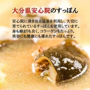 5個セットすっぽんスープ おでん にんにく すっぽん スッポンスープ 料理 エキス 国産 野菜 グルメ 老舗 全国 取り寄せ 取り寄せグルメ コラーゲン 液体 美容 精力 効果 ギフト プレゼント おすすめ 食べ物 惣菜 お惣菜 食品 高級