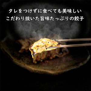 すっぽん餃子すっぽんスープ国産すっぽん餃子【4個】