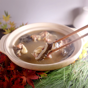 すっぽん鍋セットノーマル国産すっぽん鍋セット