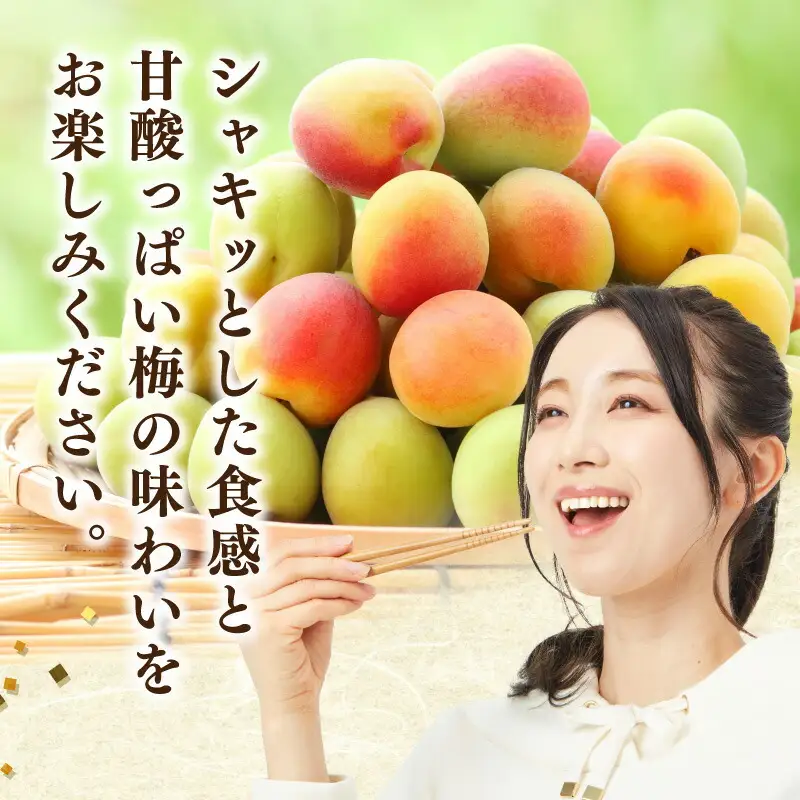 火の国屋 天草産 梅味おつまみ 茎わかめ 90g×2_U10-0008