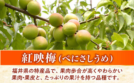 蜜うめゼリィ 4本入 福井県産紅映梅使用 名水仕立て 保存料不使用 小浜市 / アップ・トゥ・ユウ[BFAU005]
