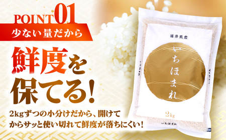 福井県産 いちほまれ 2kg×3袋 合計6kg 福井県 ブランド米 / 白米 精米 甘みとつや 小浜市 / シマダ農園[BFAV014]