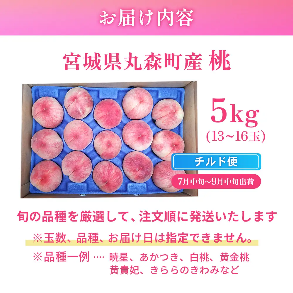 【先行予約】《7月中旬～9月中旬出荷》桃13玉～16玉（約5kg）　もも品種おまかせ　あかつき　白桃　黄金桃　黄貴妃　きららのきわみ【48005】