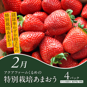 【定期便 12回】ちかっぱ厳選！福岡グルメ _ 定期便 12回 毎月お届け 水たき もつ鍋 あまおう 地鶏 明太子 ラーメン 高菜 とうもろこし 焼き鳥 博多和牛 すきしゃぶ 海苔 ステーキ グルメ おかず フルーツ 厳選 お取り寄せ 福岡県 久留米市 送料無料  〔Tk121〕