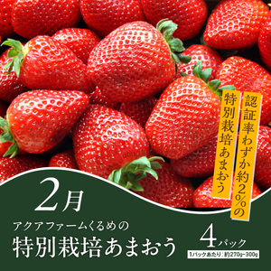 【定期便 7回】ちかっぱ厳選！福岡グルメ _ 定期便 7回 水たき もつ鍋 鍋 セット 特別栽培 あまおう 無着色 明太子 大砲 ラーメン 高菜 博多和牛 モモ カタ すきしゃぶ グルメ おかず フルーツ 厳選 お取り寄せ 福岡県 久留米市 送料無料  〔Tk122〕