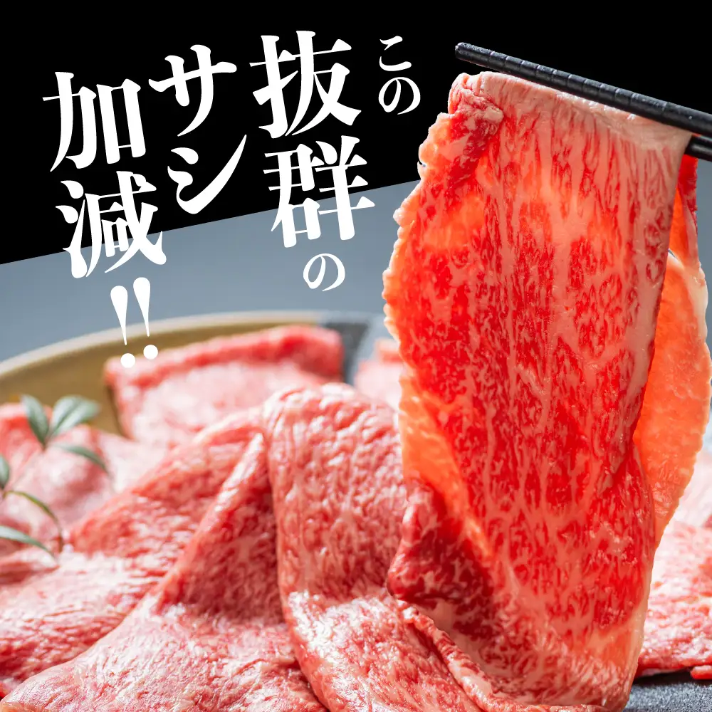 【年末お届け】飛騨牛 A5等級 ロース 500g しゃぶしゃぶ ❘年末お届け 飛騨牛 年末お届け JQ019VC12