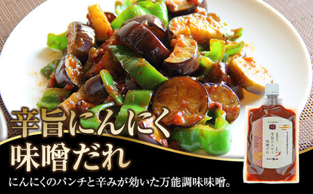 朴葉みそ300g×2個＆辛旨にんにく味噌だれ×2個＆こく旨鶏やさい鍋みそ×2個｜発酵 食品 加工食品 高山市 和食 日本食 日下部味噌醤油醸造 AV025