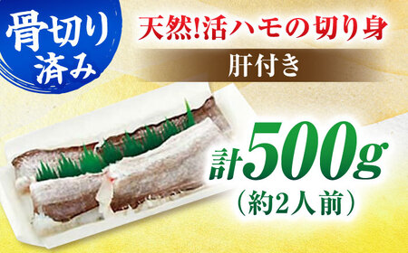 ハモの骨切り 2人前（約500g）【2026年5月上旬から順次発送】ハモ 鱧 湯引き [AGBP006]