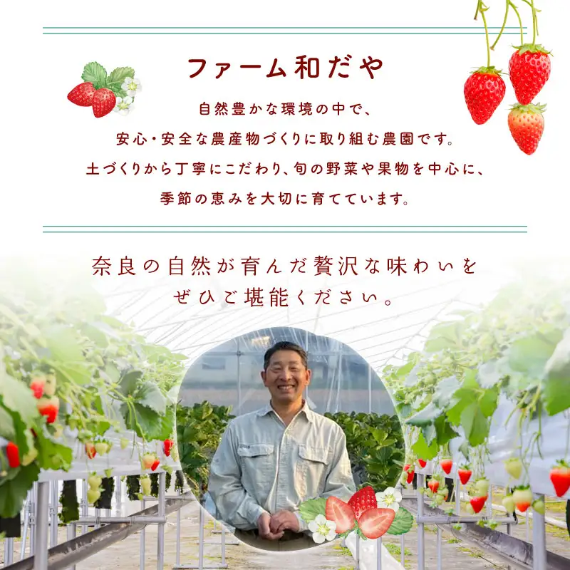 【2027年1月～発送】いちご 260g×4パック 古都華いちご