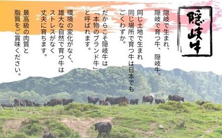 数量限定 隠岐牛 牛すじボイル 400g×3パック 牛すじ