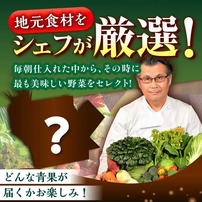 フルーツと旬野菜セット[AGBX008]野菜定期便