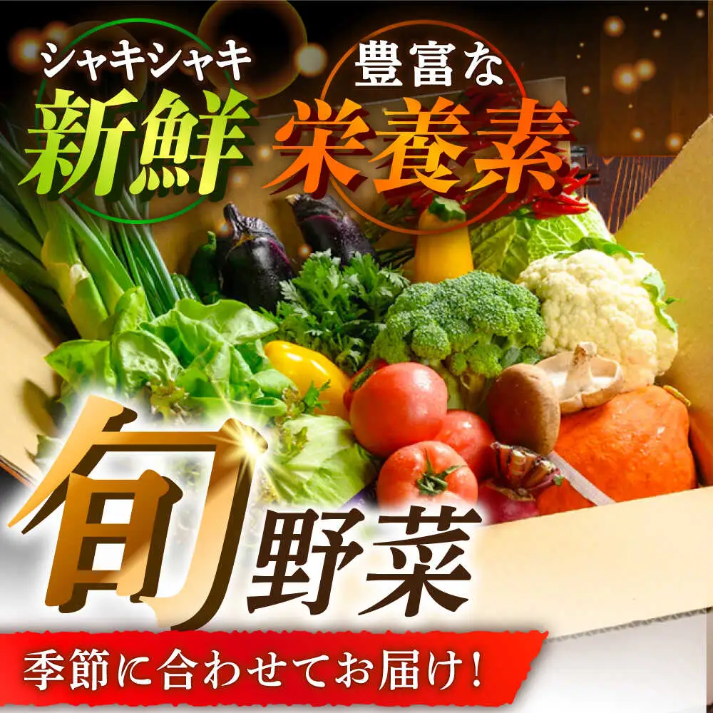 野菜+果物 詰め合わせ（13-17種）果物 フルーツ[AGBX006]