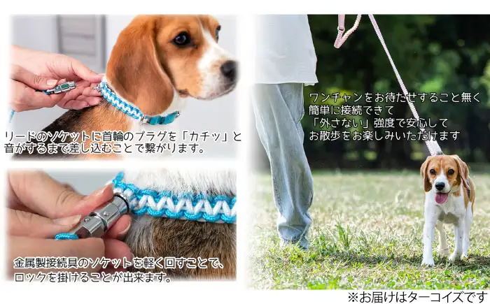 ペット 犬の首輪＆リードセット ターコイズ L ペット BLBX007