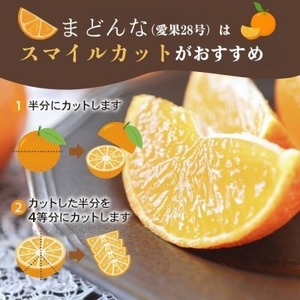 【先行予約：2026年11月20日～発送】訳あり まどんな 5kg 数量限定 愛南町青果市場組合