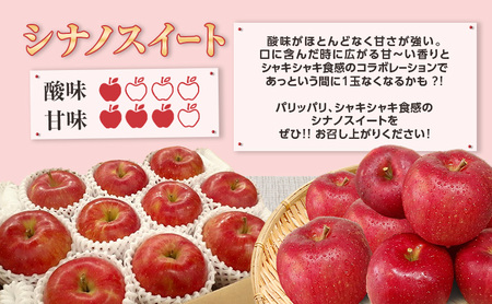 【5月発送クール便】白熊 贈答用シナノスイート約3kg スマートフレッシュ 糖度13度【青森りんご 果物 フルーツ 果物類 デザート 食後 おやつ 青森のりんご 】