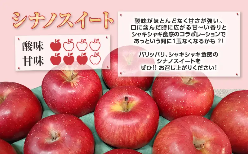 りんごシナノスイート 訳あり家庭用 青森県産 りんご【約5kg】【クール便】