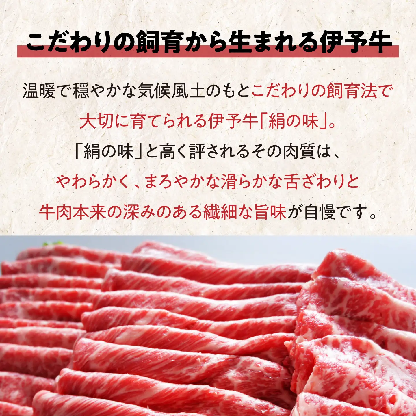 【お中元対象】伊予牛 480g モモ 牛しゃぶ [AGAB002] シャブシャブ用