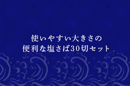 塩さば切身セット 3切を1袋にして10パック 30切(合計1.4kg) おかず ギフト