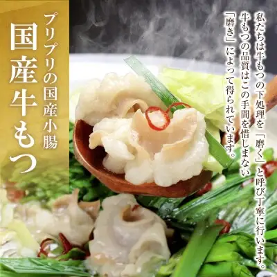 Z69-01 おどろきっちん 博多もつ鍋セット(九州醤油仕立て) 2～3人前 もつ鍋