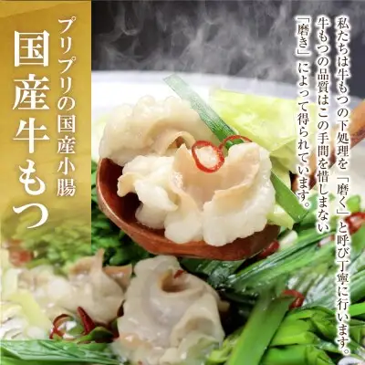 Z69-04 おどろきっちん 博多もつ鍋セット(九州味噌仕立て)国産牛もつ600g 4～6人前 もつ鍋