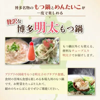 Z69-05 おどろきっちん 博多明太もつ鍋セット(九州醤油仕立て)  2～3人前 もつ鍋