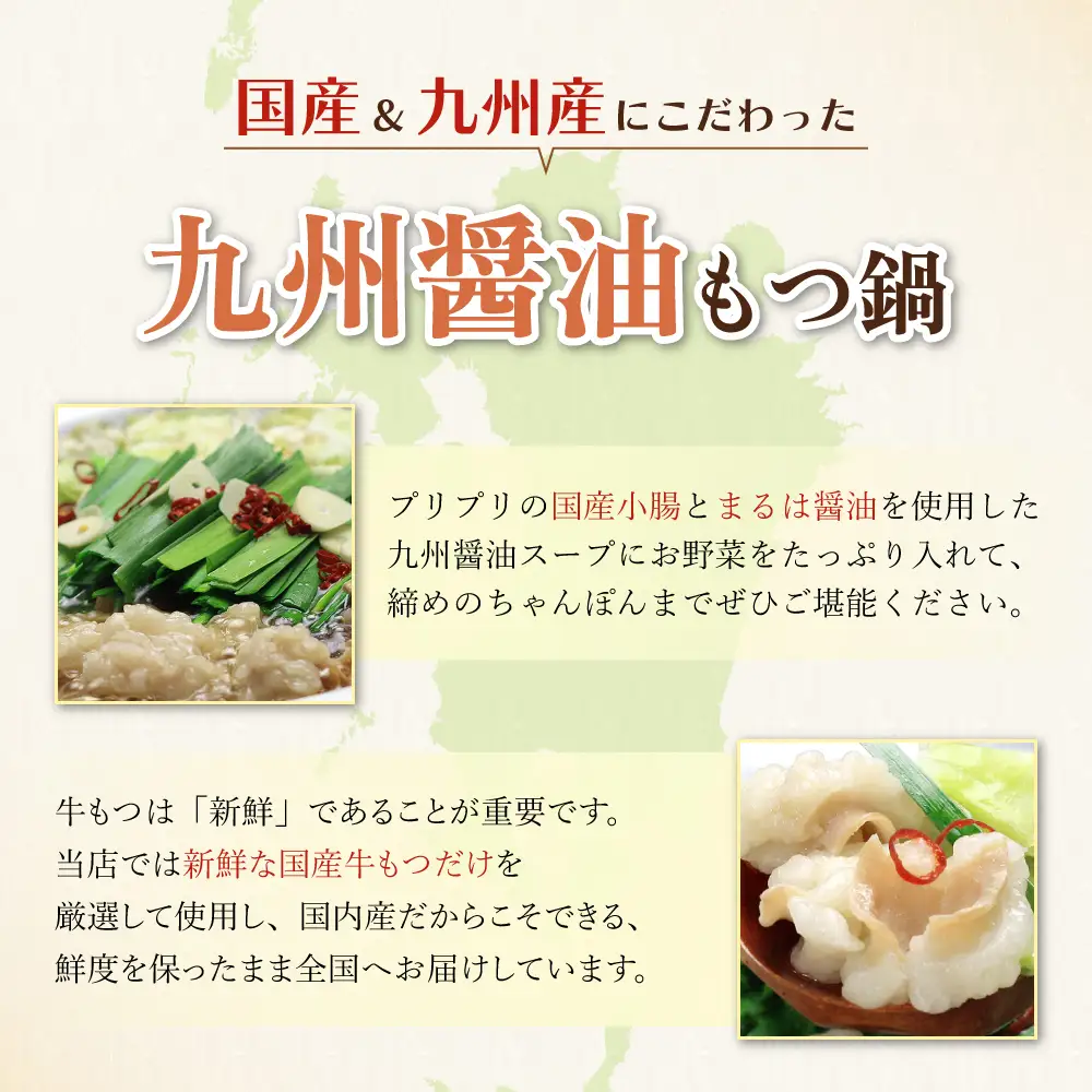 Z69-07 おどろきっちん 【訳あり】もつ鍋(醤油)10人前 訳あり