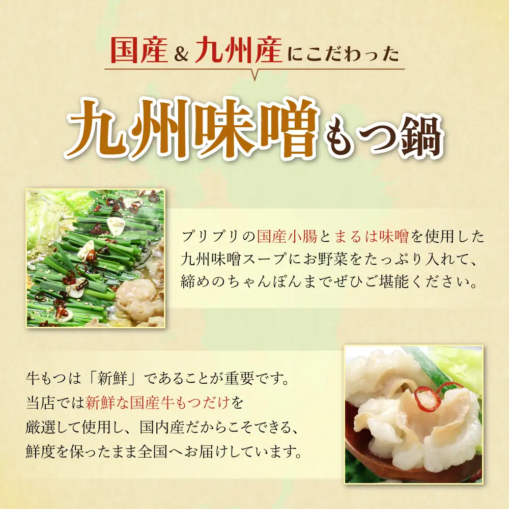 Z69-08 おどろきっちん 【訳あり】もつ鍋(味噌)10人前 訳あり