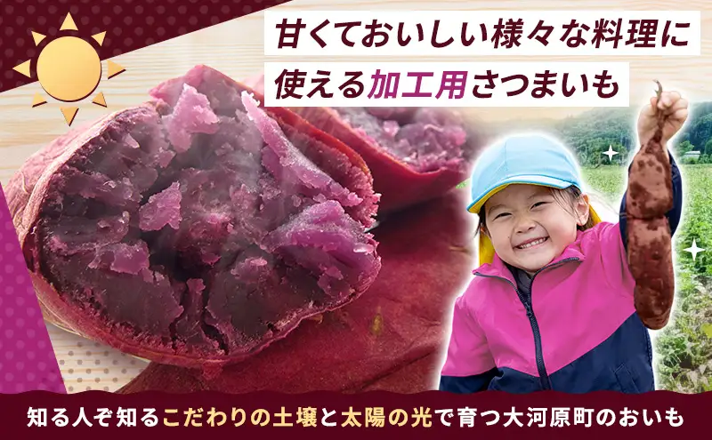 さつまいも 約5kg ふくむらさき 加工用 サツマイモ