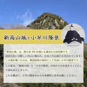 御城印限定版切り絵５枚セット ≪新高山城・高山城・三原城・切り絵赤・切り絵緑≫ 和柄 広島県三原市 110005