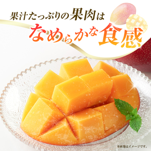 【令和9年発送 先行予約】完熟マンゴー 2L×2玉 マンゴー 