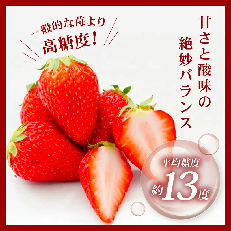 【2027年1月～発送予定】イチゴ 古都華 家庭用イチゴ 約270g×2パック