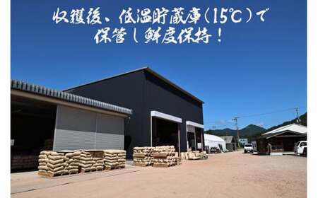 【令和7年産丹波篠山産】コシヒカリ 玄米 5kg こしひかり [DP07]