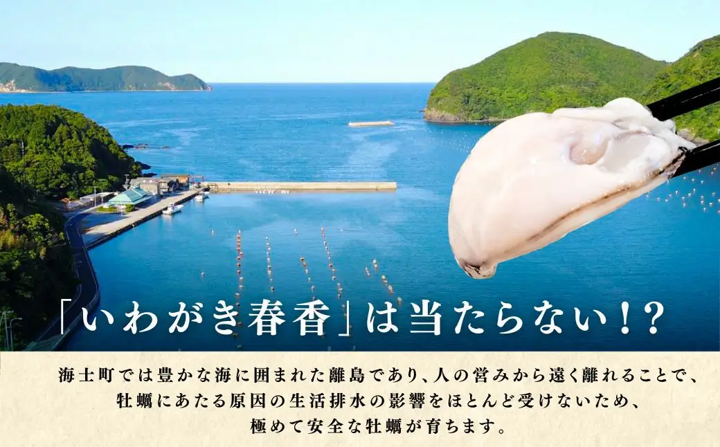 海士町産 牡蠣 冷凍 1kg以上  牡蠣