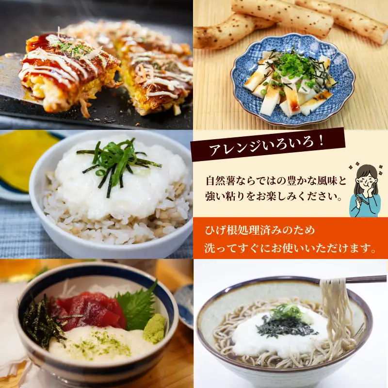 【R8年12月から発送】自然薯 900g  個包装 静岡県 牧之原市 自然薯 たくみファーム