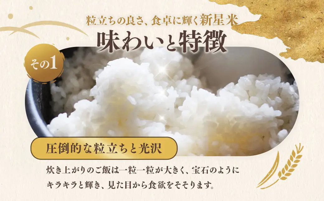 岡山県産にじのきらめき5㎏×1袋 【2026年8月下旬迄発送予定】米 お米 精米 国産 にじのきらめき 岡山県 美咲町