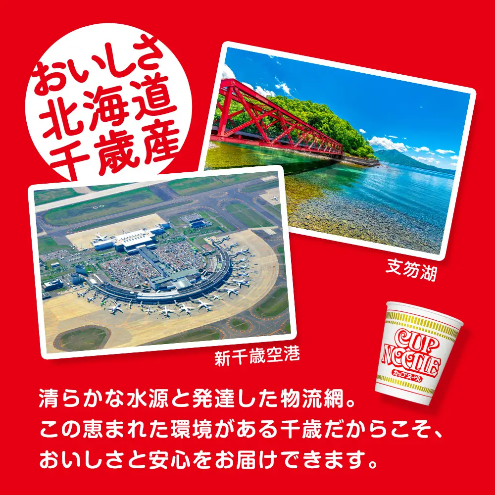 日清 カップヌードル 10食