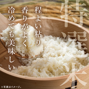 令和8年産米 筑波山麓・羽鳥の沢水米 コシヒカリ 精米 5kg【茨城県共通返礼品：桜川市】|お米 米 こしひかり 茨城県 取手市（CA001）