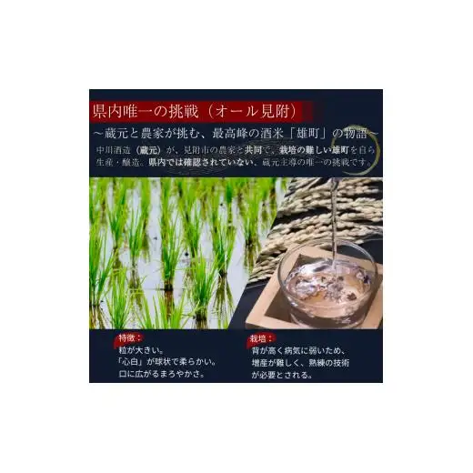 越乃白雁　純米大吟醸「雄町」 720ml