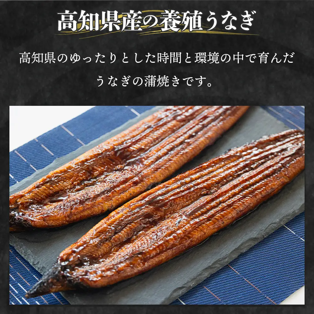 高知県産うなぎ 約１４０ｇ ４尾 計約５６０ｇ 国産 ウナギ fb-0146