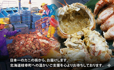 オホーツク産 冷凍ボイル毛ガニ 約360g×4尾 毛がに
