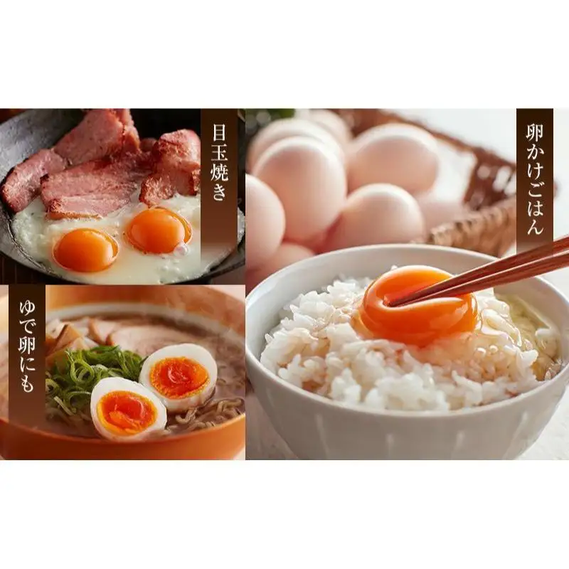 卵 烏骨鶏 6個×2パック 12ヵ月 平飼い 卵