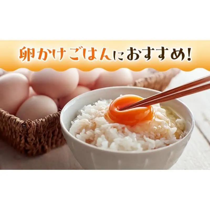 卵 鳥骨鶏卵 20個 プリン 5個 セット お菓子 卵